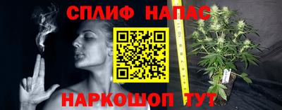 молекула духа Малгобек