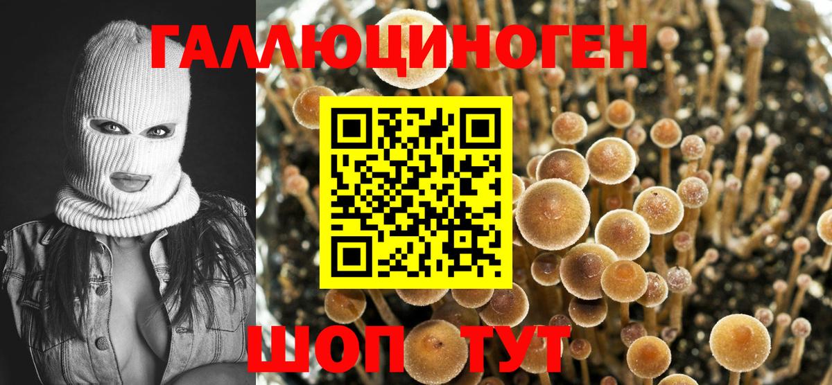Псилоцибиновые грибы Magic Shrooms Тверь