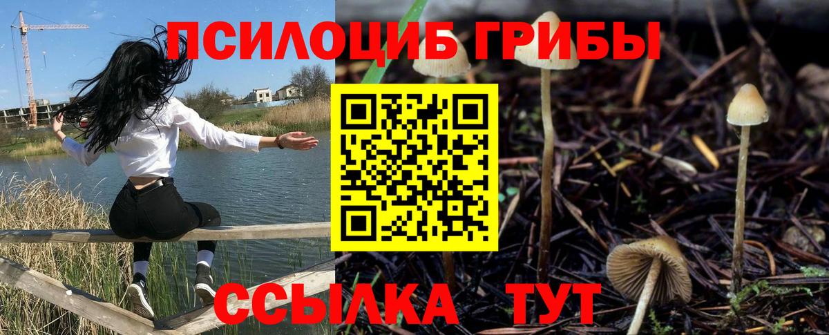 Галлюциногенные грибы Cubensis  Вход с VPN  Тверь 